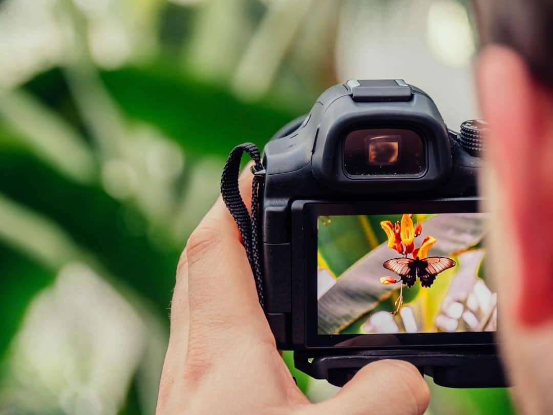En İyi Stok Fotoğraf Siteleri: Hangi Platformda Neler Var?